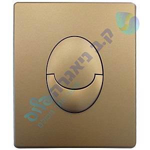 לחצן צינורית אחת דגם אליפסה זהב מט לניאגרה סמויה גרואה GROHE לחצן צינורית אחת דגם אליפסה זהב מט לניאגרה סמויה גרואה GROHE